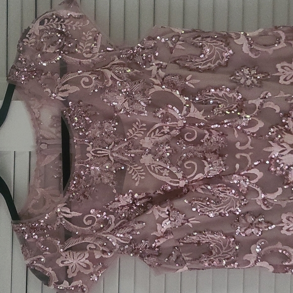 Alex Evenings Sequin Embroidered Cap Slv Flounce Hem Midi Dress Sz 6 NWOT - Picture 5 of 12